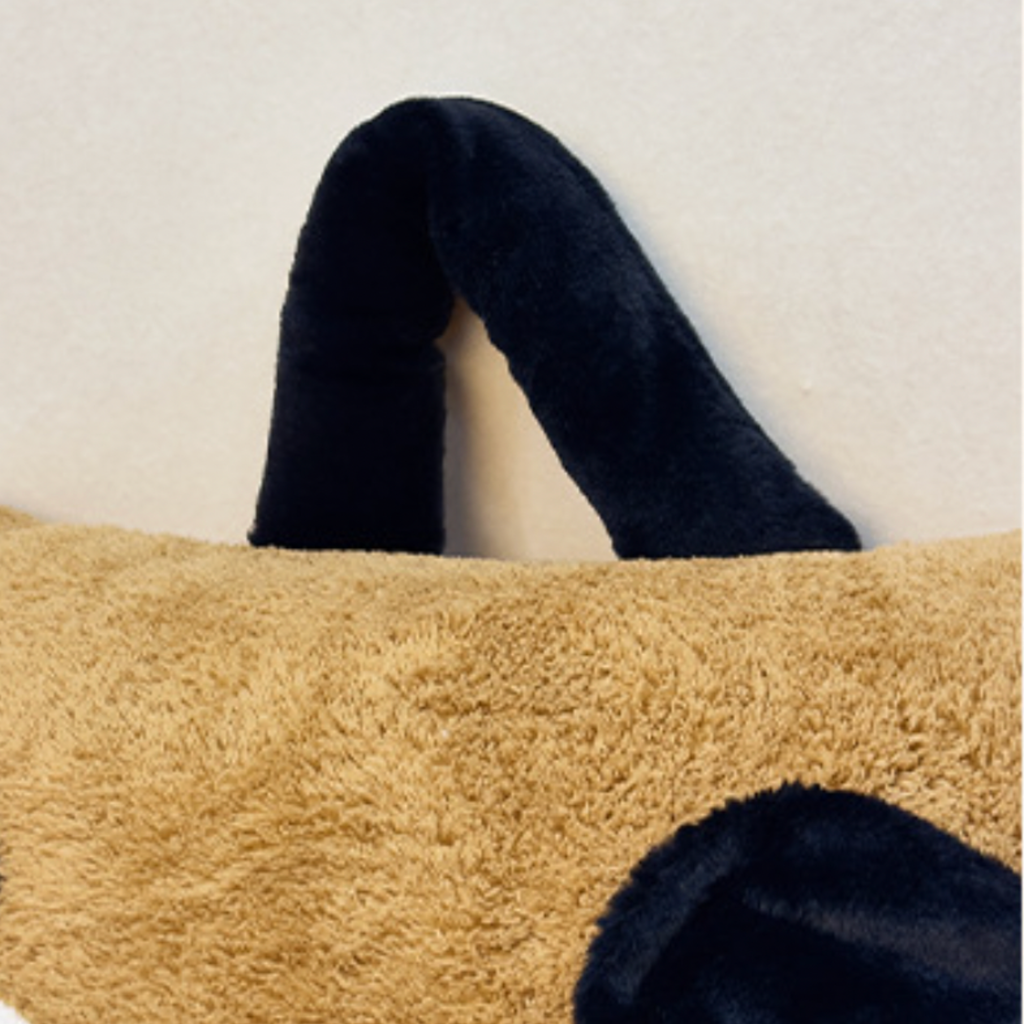 2-in-1 Dog Blanket Pillow – Cozy Travel Cushion & Soft Throw Blanket